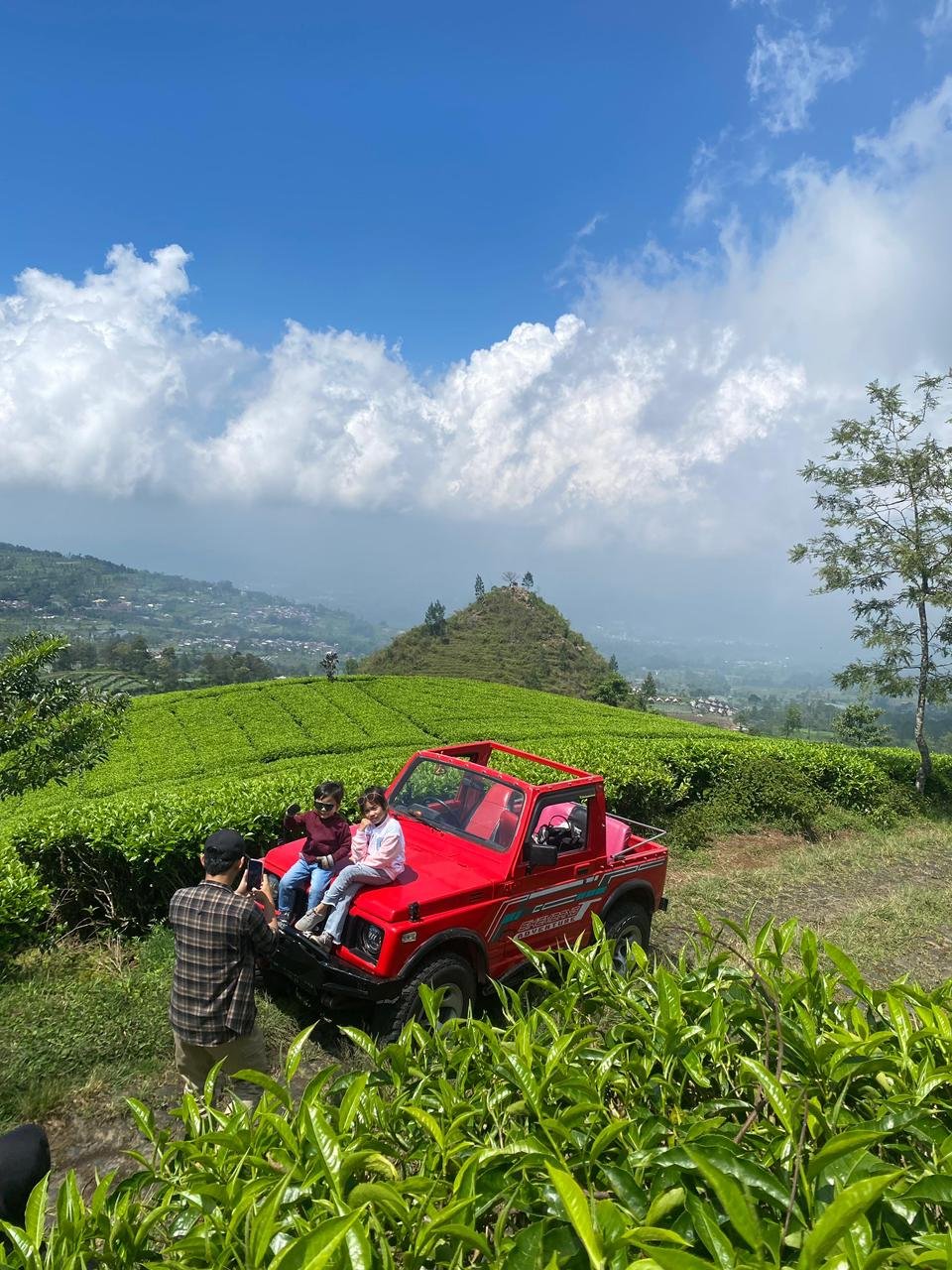 Jeep93 Adventure mengantar wisatawan menikmati kebun teh Dieng Wonosobo