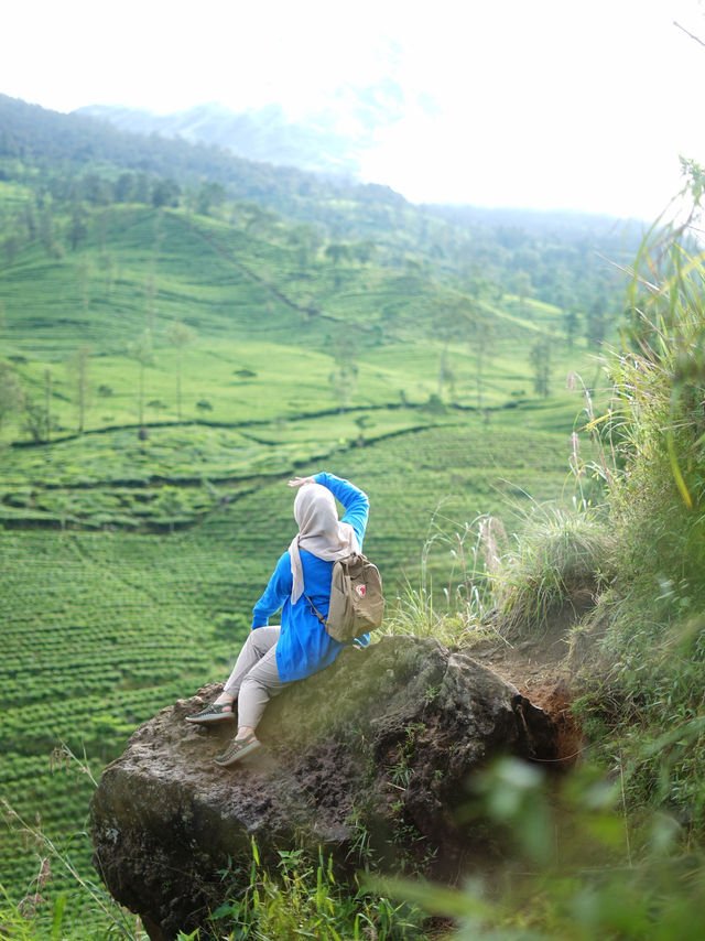 Sewa Jeep Dieng: Weekend vs Weekday — Perbedaan Harga, Keramaian & Tips Booking