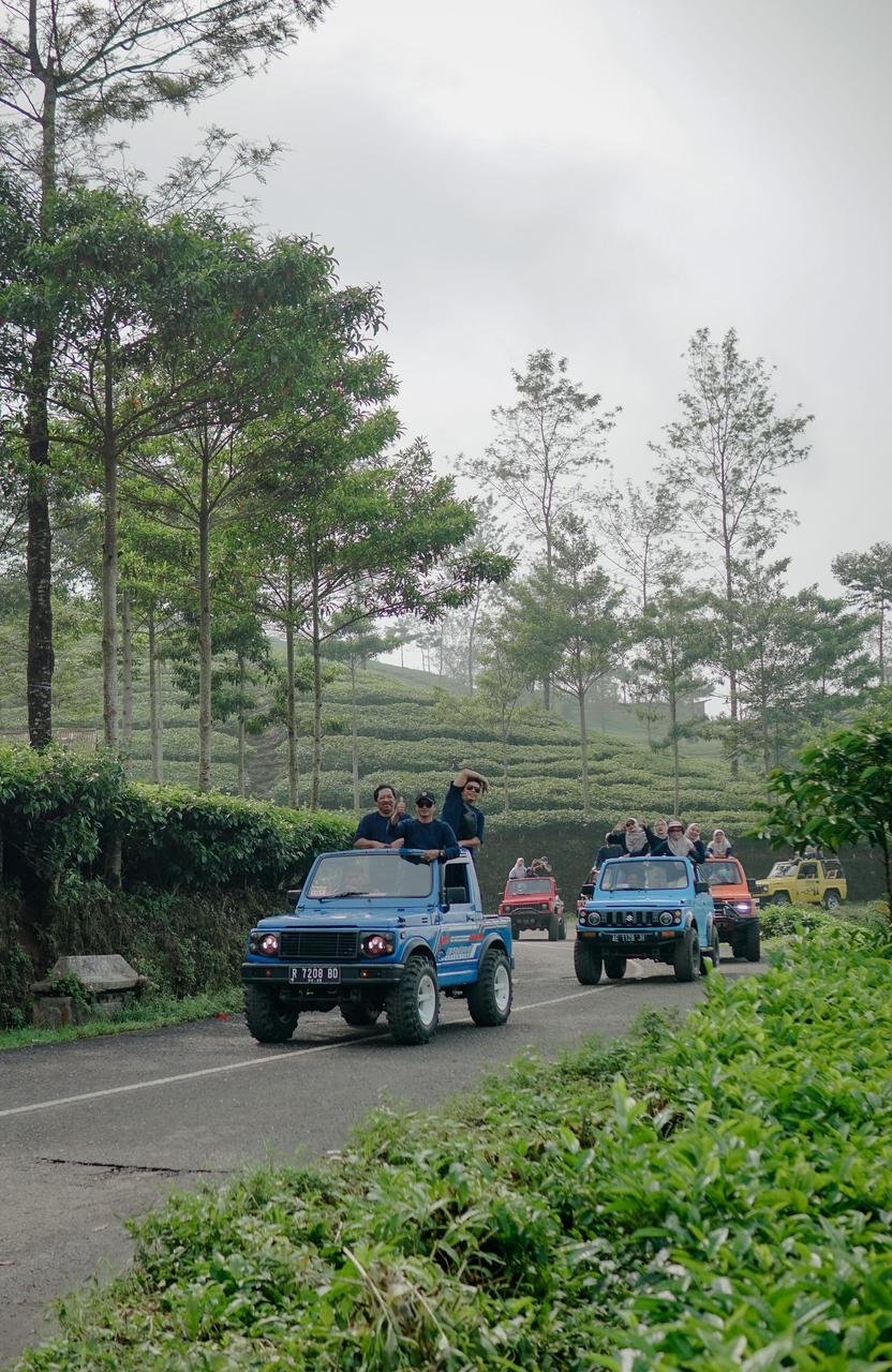 Konvoi Jeep Adventure di Kebun Teh Dieng